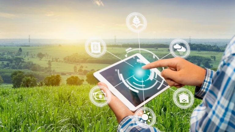 Agricultural Chemicals Innovation: Choosing to Create Long-Term Value